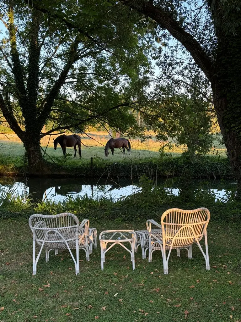 Zitplek aan het water met zicht op de paarden